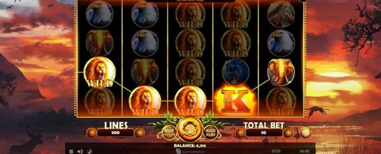 African Fortune