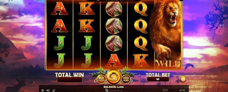 African Fortune
