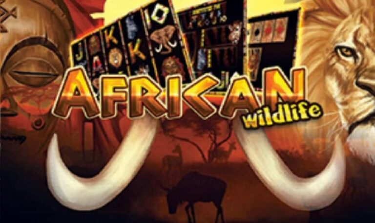 African Wildlife