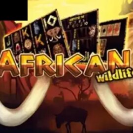 African Wildlife
