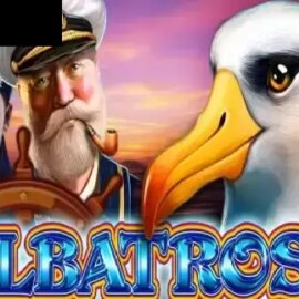 Albatross