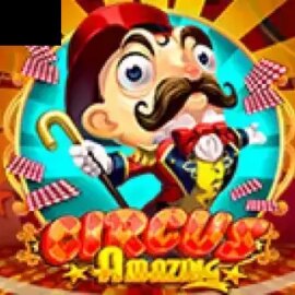 Amazing Circus