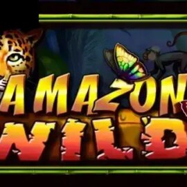 Amazon Wild (CT)