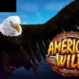 American Wild
