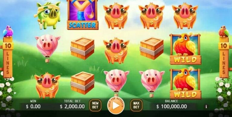 Angry Piggies