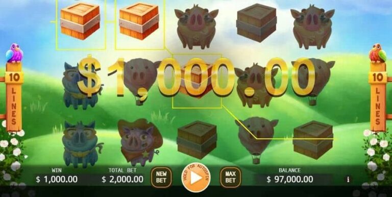 Angry Piggies