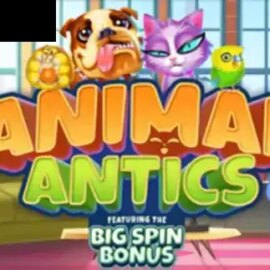 Animal Antics