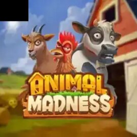 Animal Madness