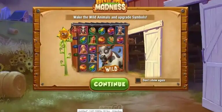 Animal Madness
