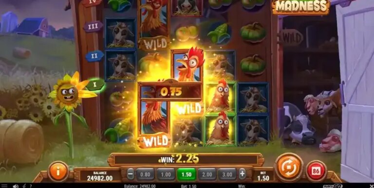 Animal Madness