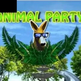 Animal Party