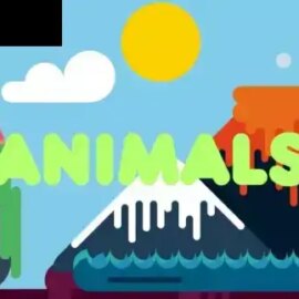 Animals