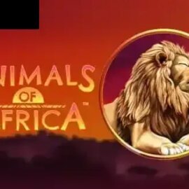 Animals of Africa