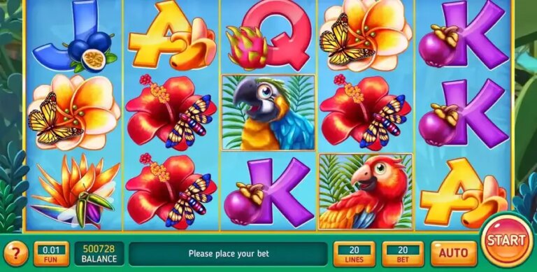 Ara Macao Deluxe