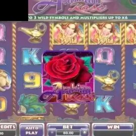 Arabian Rose (Lightning Box)