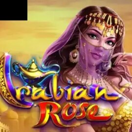Arabian Rose (Ainsworth)