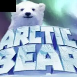 Arctic Bear