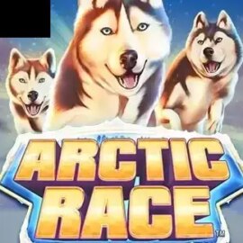 Arctic Race