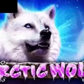 Arctic Wolf