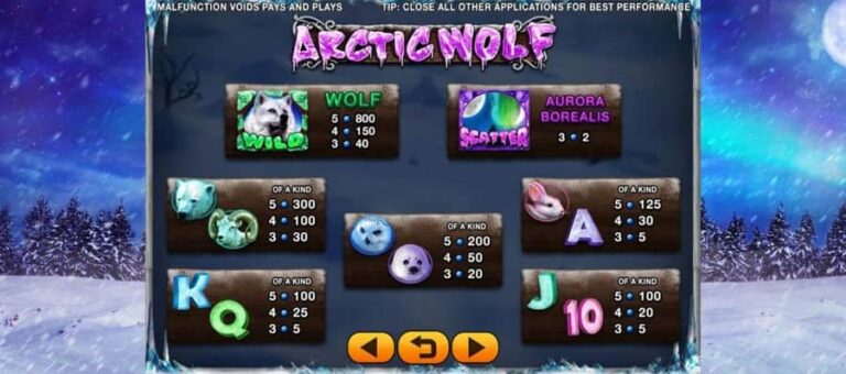 Arctic Wolf
