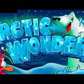 Arctic Wonders