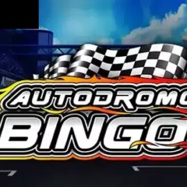 Autodromo Bingo