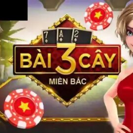 Bai 3 Cay Mien Bac