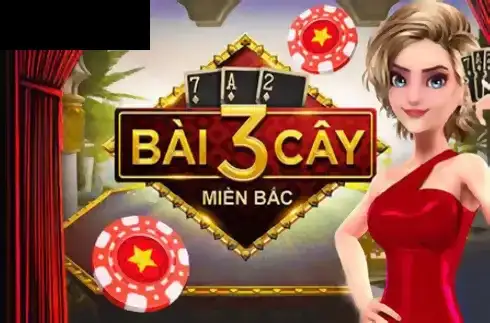 Bai 3 Cay Mien Bac