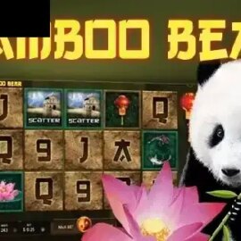 Bamboo Bear