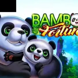 Bamboo Fortune