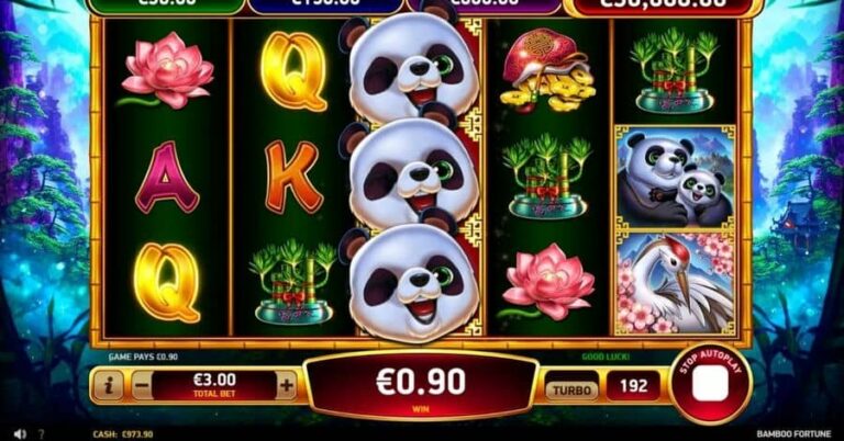 Bamboo Fortune
