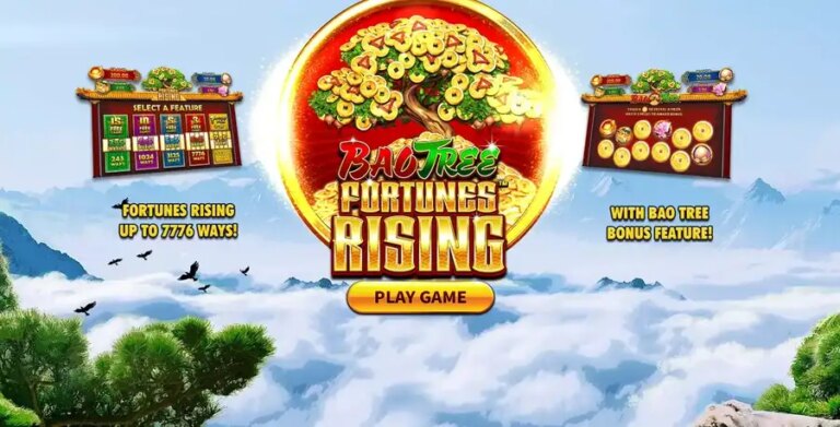 Bao Tree Fortunes Rising