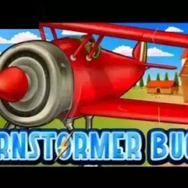 Barnstormer Bucks