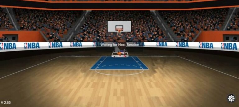 Basketball Fever