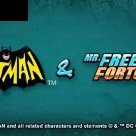 Batman & Mr Freeze Fortune