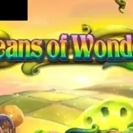 Beans of Wonder