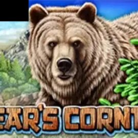 Bears Corner