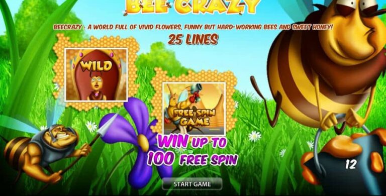 Bee Crazy HD