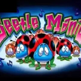 Beetle Mania