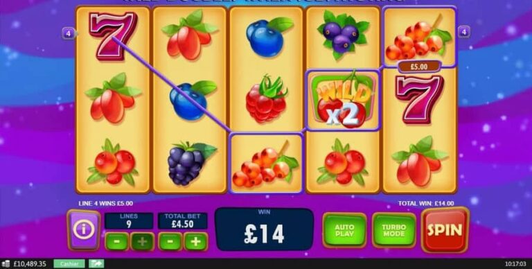 Berry Berry Bonanza
