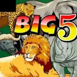 Big 5