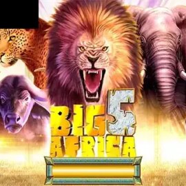Big 5 Africa