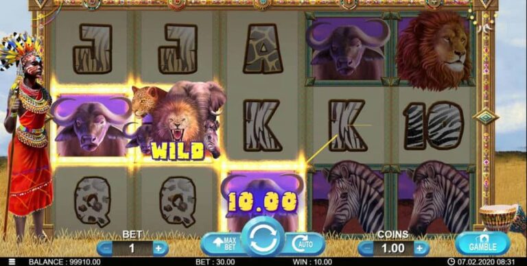 Big 5 Africa