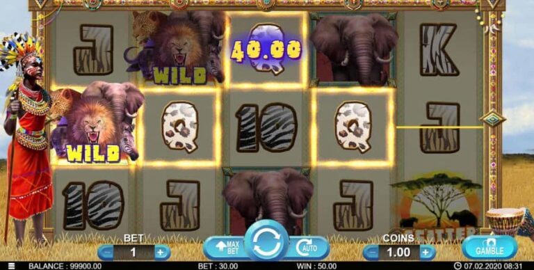 Big 5 Africa