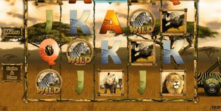 Big 5 Safari