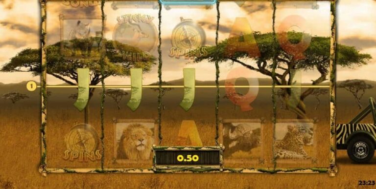 Big 5 Safari