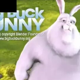 Big Buck Bunny