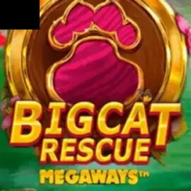 Big Cat Rescue Megaways