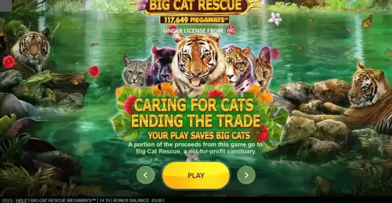 Big Cat Rescue Megaways