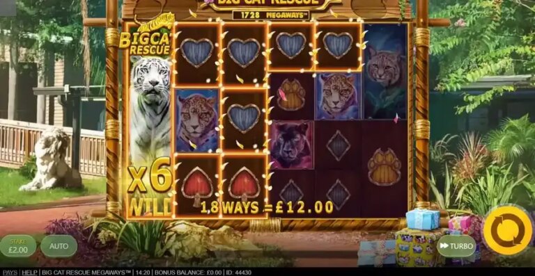 Big Cat Rescue Megaways